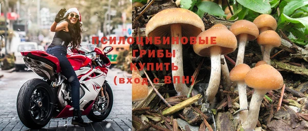 прущие крисы Михайловка
