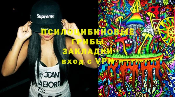 соль ск Михайлов