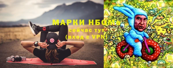 соль ск Михайлов