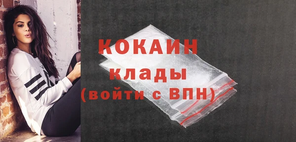 соль ск Михайлов
