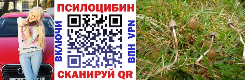 Галлюциногенные грибы MAGIC MUSHROOMS  где найти   Абакан 